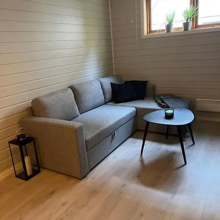 Down Town Apartment
